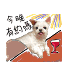 私の愛するもの cute dog（個別スタンプ：23）