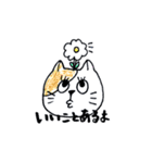 ほっこりねこスタンプ（個別スタンプ：16）