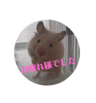 ハムスターのおしゃべり（仕事編）（個別スタンプ：1）