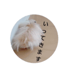 ハムスターのおしゃべり（仕事編）（個別スタンプ：4）