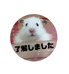 ハムスターのおしゃべり（仕事編）（個別スタンプ：6）