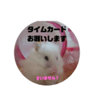 ハムスターのおしゃべり（仕事編）（個別スタンプ：7）
