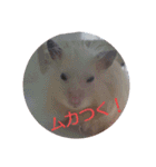 ハムスターのおしゃべり（仕事編）（個別スタンプ：9）