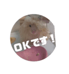 ハムスターのおしゃべり（仕事編）（個別スタンプ：11）