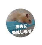 ハムスターのおしゃべり（仕事編）（個別スタンプ：12）