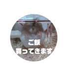 ハムスターのおしゃべり（仕事編）（個別スタンプ：24）