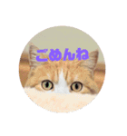 みかんこ2（個別スタンプ：2）