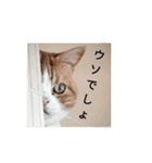 みかんこ2（個別スタンプ：5）