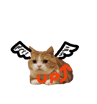 みかんこ2（個別スタンプ：13）