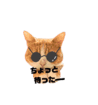 みかんこ2（個別スタンプ：15）