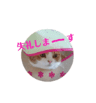 みかんこ2（個別スタンプ：18）