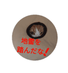 みかんこ2（個別スタンプ：19）