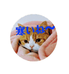 みかんこ2（個別スタンプ：21）