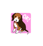 ビーグル犬ハッピー（個別スタンプ：1）