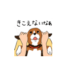 ビーグル犬ハッピー（個別スタンプ：31）