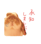 たれうさぎ もち ④（個別スタンプ：2）