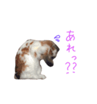 たれうさぎ もち ④（個別スタンプ：7）