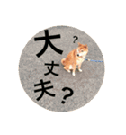 陸のすたんぷ NEO（個別スタンプ：13）