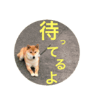 陸のすたんぷ NEO（個別スタンプ：20）