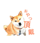 陸のすたんぷ NEO（個別スタンプ：22）