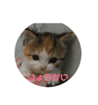 シナ＆ラムの気持ち（個別スタンプ：1）
