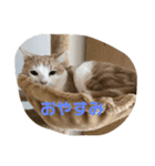シナ＆ラムの気持ち（個別スタンプ：6）