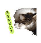 トロロ+おまけ（個別スタンプ：3）