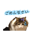 トロロ+おまけ（個別スタンプ：15）