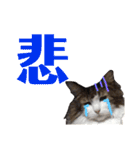 トロロ+おまけ（個別スタンプ：17）