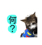 トロロ+おまけ（個別スタンプ：18）