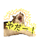 トロロ+おまけ（個別スタンプ：26）