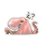 ただのタコ（個別スタンプ：40）