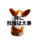 コーギーるきのスタンプ（個別スタンプ：5）