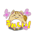 ねこまたぬきさん（個別スタンプ：13）