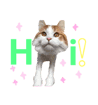 リオ＆そら (英語編)（個別スタンプ：5）