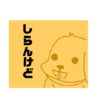 しらんけどわんこ（個別スタンプ：24）