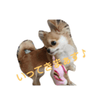 時雨の日常（個別スタンプ：6）