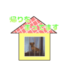 内気犬 チー太（個別スタンプ：6）