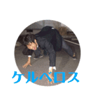 誠物語 マコトモノガタリ（個別スタンプ：1）