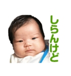 ★ひまりスタンプ★（個別スタンプ：20）