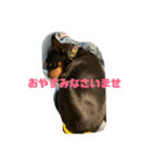 ヴィト子＆カイ2（個別スタンプ：10）