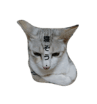 ねこネコぷーん（個別スタンプ：1）