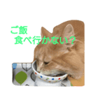 ねこネコぷーん（個別スタンプ：6）