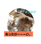 僕、テソロ。～もふもふ族 ～（個別スタンプ：4）