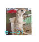 僕、テソロ。～もふもふ族 ～（個別スタンプ：5）