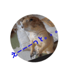 僕、テソロ。～もふもふ族 ～（個別スタンプ：9）