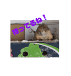 僕、テソロ。～もふもふ族 ～（個別スタンプ：15）