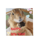 僕、テソロ。～もふもふ族 ～（個別スタンプ：16）