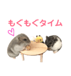 ハムスター★《おもちと愉快な仲間たち》（個別スタンプ：3）