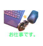 ハムスター★《おもちと愉快な仲間たち》（個別スタンプ：4）